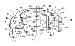 Variable focus lens having two liquid chambers