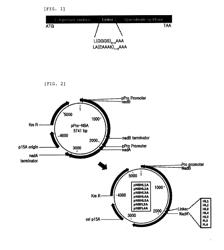 RECOMBINANT MICROORGANISM PRODUCING QUINOLINIC ACID AND A METHOD FOR PRODUCING QUINOLINIC ACID USING THE SAME