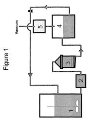 Immobilized enzymes and methods of using thereof