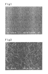 Fluorocopolymer composition and its production process