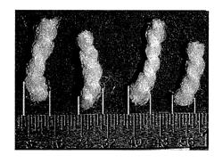 COMPOSITION FOR AFFIXING A COLORANT TO A SURFACE, PROTECTING A SURFACE, AND PROVIDING WEAR RESISTANCE TO A SURFACE