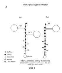 MANUFACTURE OF INTER-ALPHA-INHIBITOR (IaIp) FROM PLASMA