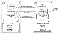 System and method for managing access to a plurality of servers in an organization