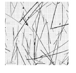 METHOD OF MANUFACTURING SILVER NANOWIRES