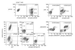 Methods and compositions for detecting the activation state of multiple proteins in single cells