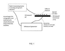 Enhanced animal cell growth using ultrasound