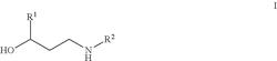 Process for the preparation of N-monosubstituted β-amino alcohols