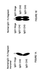 IMMUNOGLOBULIN CONSTANT REGION FC RECEPTOR BINDING AGENTS