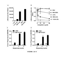 PEPTIDE MIMOTOPES TO OXIDATION SPECIFIC EPITOPES