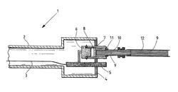 VIDEO ENDOSCOPE