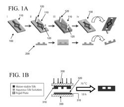 Microfluidic device comprising silk films coupled to form a microchannel