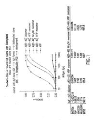 MONOCLONAL ANTIBODIES AGAINST AMYLOID BETA PROTEIN AND USES THEREOF