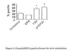 METHODS FOR PROMOTING WOUND HEALING AND/OR REDUCING SCAR FORMATION