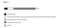 Fungal Resistant Plants Expressing Hydrophobin