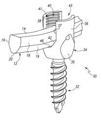 Spinal rod