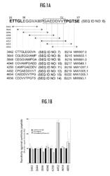 Mouse anti-Aggrus monoclonal antibodies