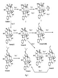 Taxane Compounds, Compositions and Methods