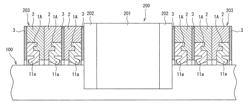 Side seal for linear guide apparatus and linear guide apparatus