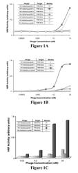 Compositions, devices, and methods related to prostate-specific membrane antigen