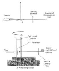 Nanostructures for polarized imaging and receptor/ligan quantization: breaking the diffraction limit for imaging