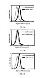 Composition for use in gene therapy