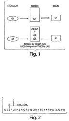 Isolated monoclonal antibody or antigen-binding fragment that cleaves octanoylated native ghrelin