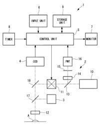 Microscope apparatus chronologically storing different types of image information