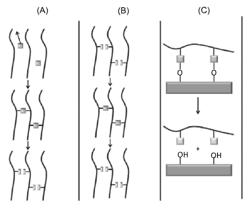 Degradable neutral layers for block copolymer lithography applications