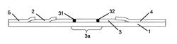 Immunochromatography method