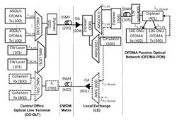 1 Tb/s converged optical metro-access transmission based on wavelength division multiplexed orthogonal frequency division multiple access passive optical network (WDM-OFDMA-PON)