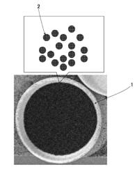 Microstructure and manufacturing method therefor