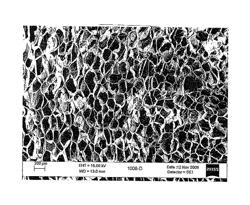 Porous carbon-containing compounds as water carriers and cell size controlling agents for polymeric foams