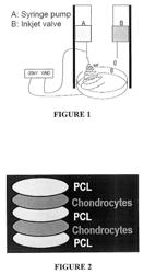 Inkjet printing of tissues and cells