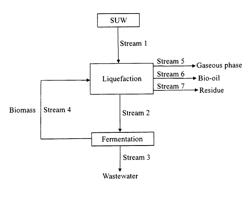 Process for the production of bio-oil from solid urban waste