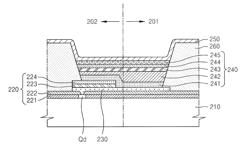 Organic light emitting display apparatus