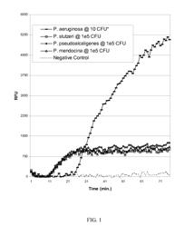 COMPOSITIONS, KITS AND RELATED METHODS FOR THE DETECTION AND/OR MONITORING OF PSEUDOMONAS AERUGINOSA