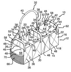 Expandable item carrying device