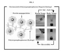 Biodegradable and thermosensitive poly(organophosphazene)-superparamagnetic nanoparticle complex, preparation method and use thereof