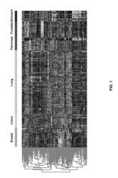 Methods for diagnosing colon cancer using MicroRNA signatures