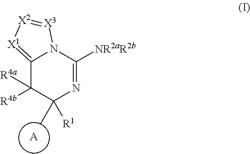 Fused aminodihydropyrimidine derivative