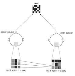 Brain activity measuring apparatus, brain activity measuring method, brain activity deducing apparatus, brain activity deducing method, and brain-machine interface apparatus