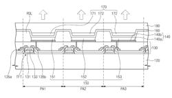 ORGANIC LIGHT EMITTING DISPLAY APPARATUS