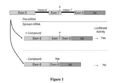 COMPOUNDS FOR TREATING SPINAL MUSCULAR ATROPHY