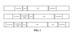 Methods and materials for deconstruction of biomass for biofuels production