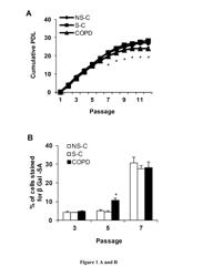 METHODS AND PHARMACEUTICAL COMPOSITIONS FOR PREVENTION OR TREATMENT OF CHRONIC OBSTRUCTIVE PULMONARY DISEASE