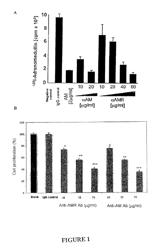 Antibodies binding to adrenomedullin receptors and uses thereof as drugs