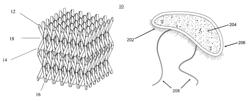 Methods and apparatus for increasing biofilm formation and power output in microbial fuel cells