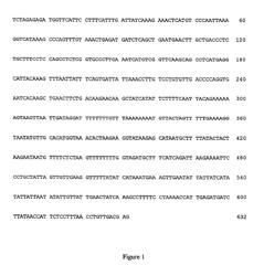 Xenobiotic related induction of gene expression