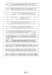 Altered FAD2 and FAD3 genes in Brassica and the molecular marker-assisted detection thereof