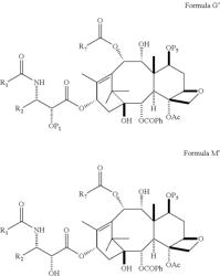 9, 10-Alpha, Alpha-OH-Taxane Analogs and Methods for Production Thereof